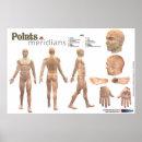 Search for meridian chart posters Acupressure