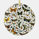 Search for moth christmas tree decorations Illustration