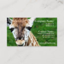 Search for giraffe business cards Wildlife
