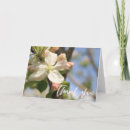 Search for apple tree blossoms cards Floral