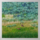 Search for crane bird posters Landscape