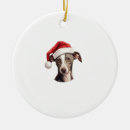 Search for italian santa christmas tree decorations Dog