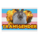 Search for transgender posters Pride