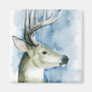 Search for wander magnets Watercolor