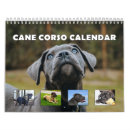 Search for mastiff calendars Italian