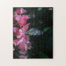 Search for nature photography puzzles Butterfly