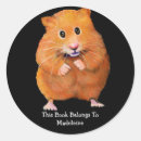 Search for hamster plates Pet