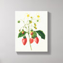 Search for berry canvas prints Nature