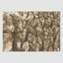 Search for tree bark tissue paper Texture