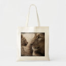 Search for lioness bags Wildlife