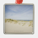 Search for nantucket christmas tree decorations Island