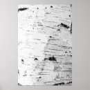 Search for birches posters White