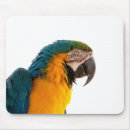Search for notes mouse mats Animals
