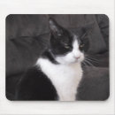 Search for pet gear mouse mats Animals