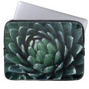 Search for agave electronics Garden