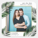 Search for date palm stickers Tropical