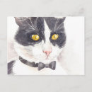 Search for tomcat postcards Illustration
