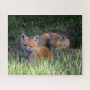 Search for baby animal puzzles Fox