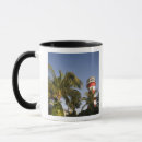 Search for bahama mugs Freeport