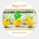 Search for easter chick stickers Colourful