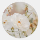 Search for romantic flower stickers Botanical