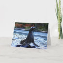 Search for saltwater cards Aquatic