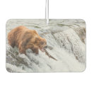 Search for bear car air fresheners Alaska