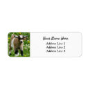 Search for dwarf return address labels Cute