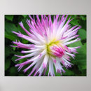 Search for pollen posters Pink