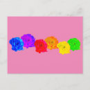 Search for rainbow rose postcards Flower