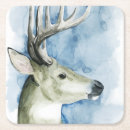 Search for deer coasters Animals