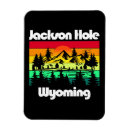 Search for jackson magnets Wyoming
