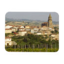 Search for grape vines magnets Vineyard