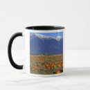 Search for pumpkin patch mugs Orange