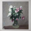 Search for mallow posters Floral