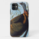 Search for john james audubon iphone cases Bien