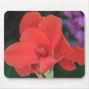 Search for amaryllis mouse mats Garden