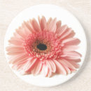 Search for gerbera daisy coasters Daisies