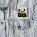 Search for panda square badges Animal photography