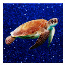 Search for cool turtle art Blue