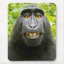 Search for funny mouse mats Animals