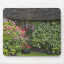 Search for thatch mouse mats Village