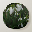 Search for snowdrop cushions Nature