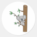 Search for baby koala stickers Birthday