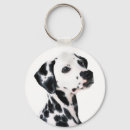 Search for dalmatian dog key rings Animals