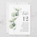 Search for 5 table cards Eucalyptus