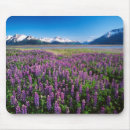 Search for lupin mouse mats Field