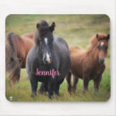 Search for horse mouse mats Wild