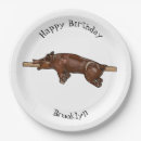 Search for pig plates Hog