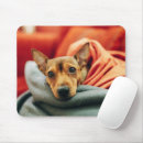 Search for doberman pinscher mouse mats Purebred dog